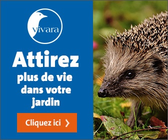 attirez plus de vie dans votre jardin